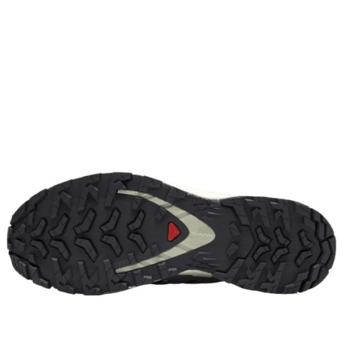 Salomon XA Pro 3D V9 GTX “Dark Grey Beige”