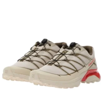 XT-Pathway 2 “Rainy Day Stone Gray Cherry Tomato”