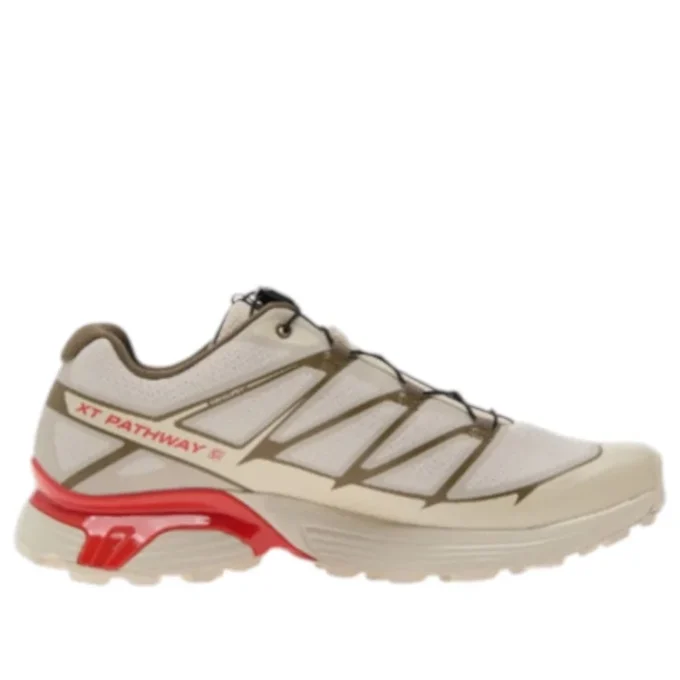 XT-Pathway 2 “Rainy Day Stone Gray Cherry Tomato”